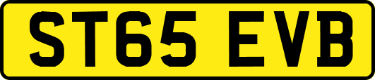 ST65EVB