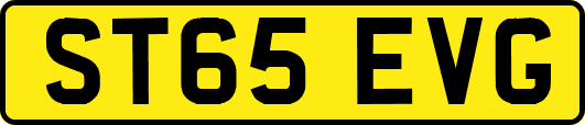 ST65EVG