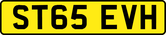 ST65EVH