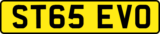 ST65EVO