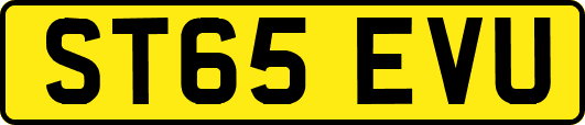 ST65EVU