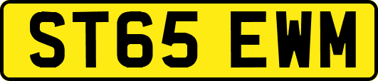 ST65EWM