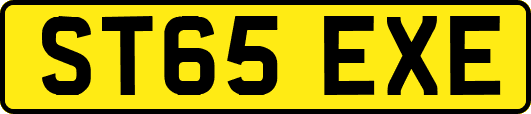 ST65EXE