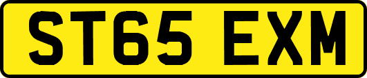 ST65EXM