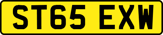 ST65EXW