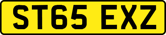 ST65EXZ