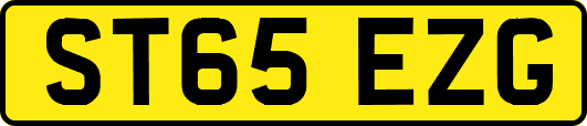 ST65EZG