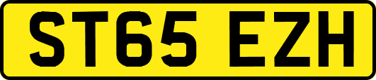 ST65EZH