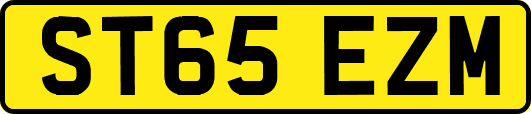 ST65EZM