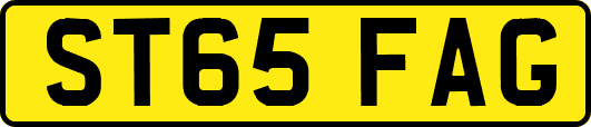 ST65FAG