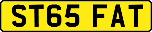 ST65FAT