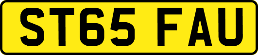 ST65FAU