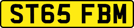 ST65FBM