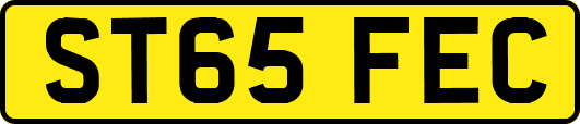 ST65FEC