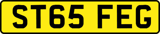 ST65FEG
