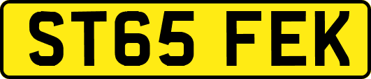 ST65FEK
