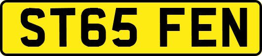 ST65FEN