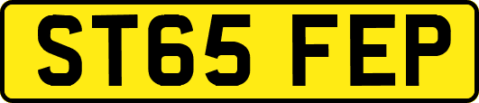 ST65FEP