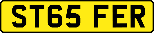ST65FER