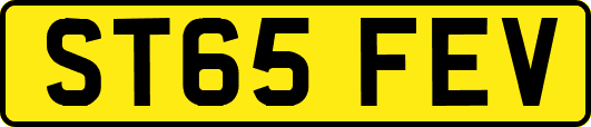 ST65FEV