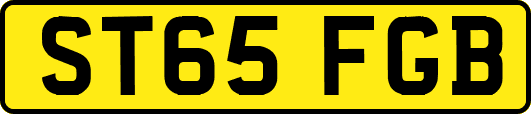 ST65FGB