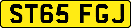ST65FGJ