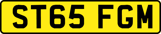ST65FGM