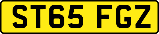 ST65FGZ