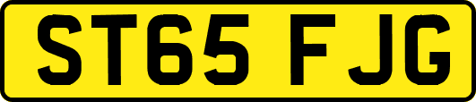 ST65FJG