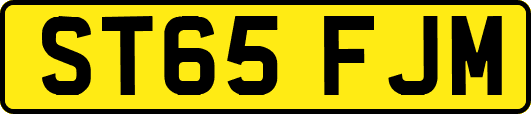 ST65FJM