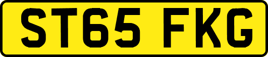 ST65FKG