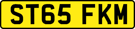 ST65FKM