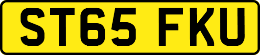 ST65FKU