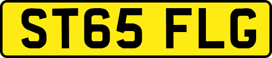 ST65FLG