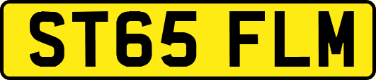 ST65FLM