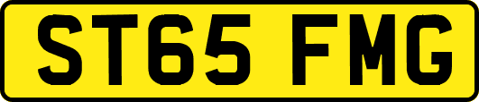 ST65FMG