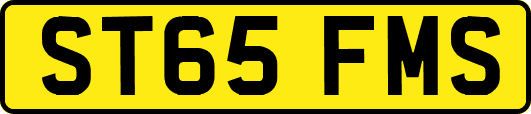ST65FMS