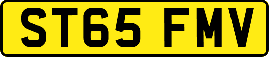 ST65FMV
