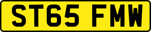 ST65FMW