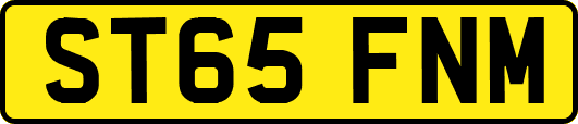 ST65FNM