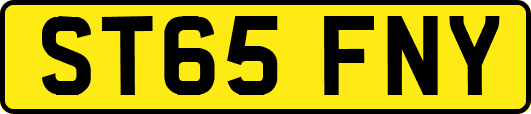 ST65FNY
