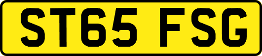 ST65FSG