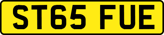 ST65FUE