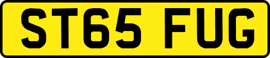 ST65FUG