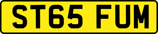 ST65FUM