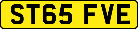 ST65FVE
