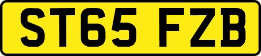 ST65FZB