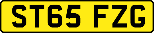ST65FZG