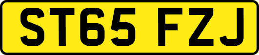ST65FZJ