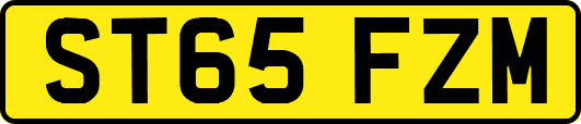 ST65FZM